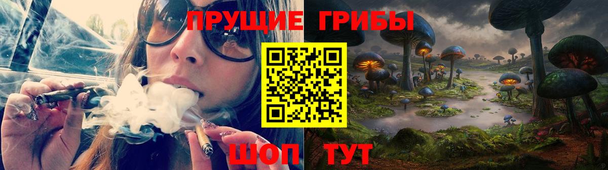 Псилоцибиновые грибы Cubensis  Вход с VPN  Галлюциногенные грибы мухоморы  Чусовой 